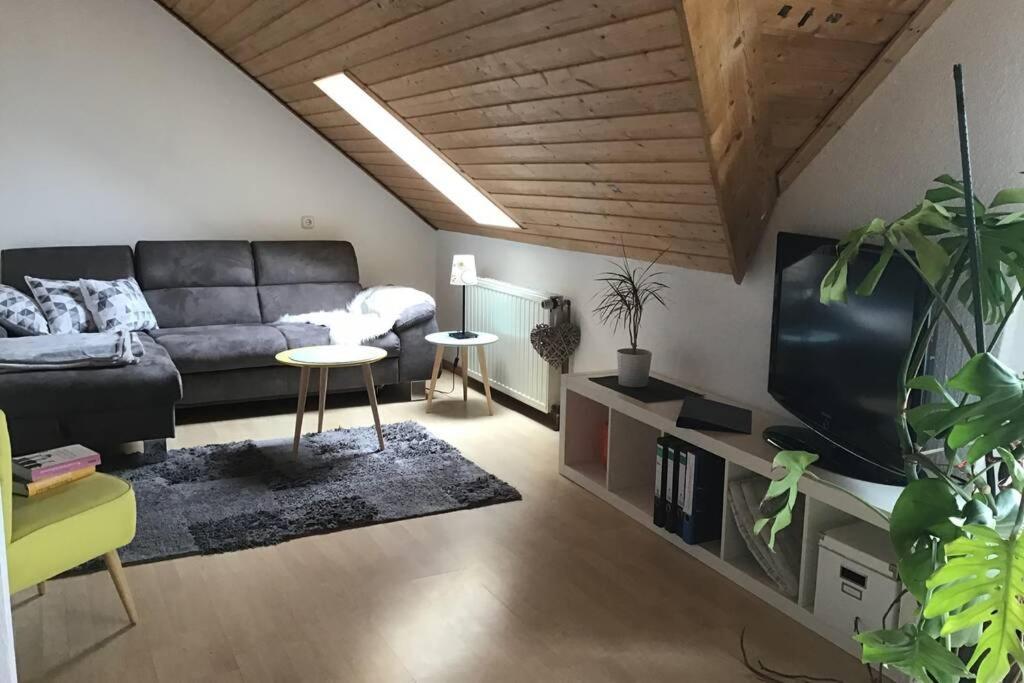 Ferienwohnung Sauerland アッテンドルン エクステリア 写真